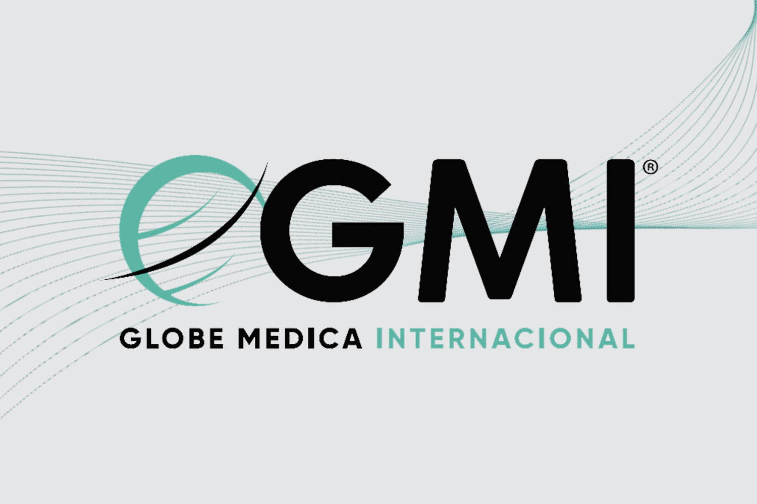 Luis Sistemas GMI