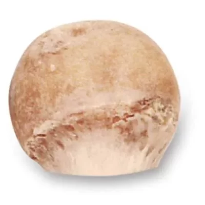 Femoral Head